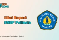 Rata Rata Nilai SNBP Polinela
