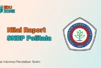 Rata Rata Nilai SNBP Politala