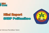 Rata Rata Nilai SNBP Politanikoe